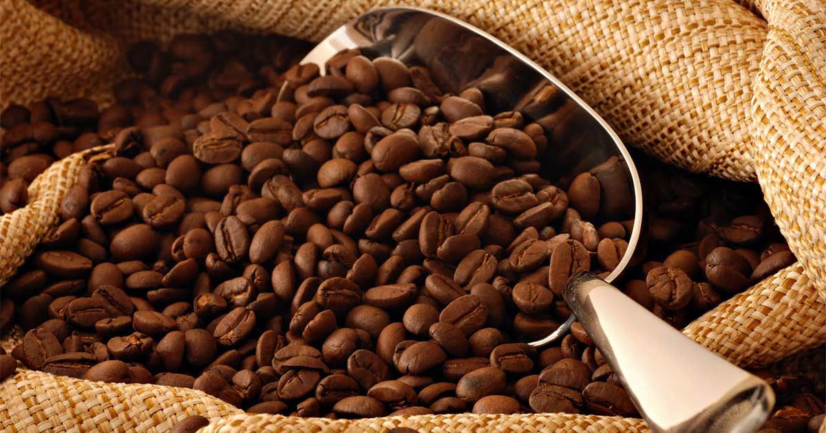 Can-You-Eat-Coffee-Beans-02