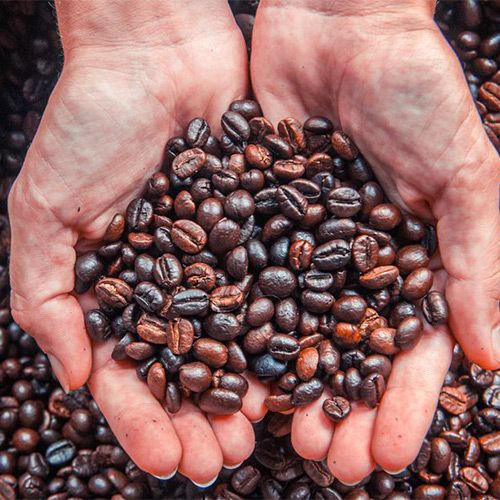 Where-Do-Coffee-Beans-Come-From-04