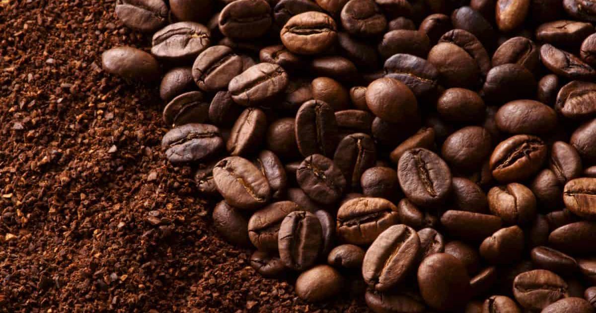 can-I-brew-another-cup-with-the-grounds