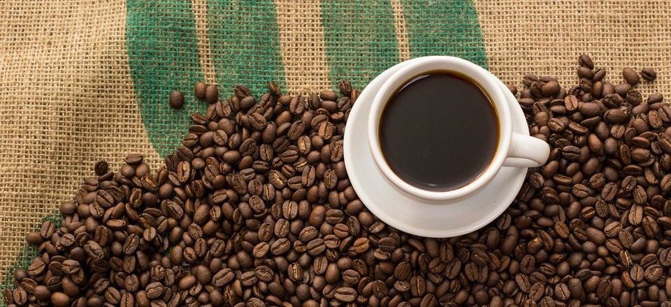 The Best Organic Coffee Beans