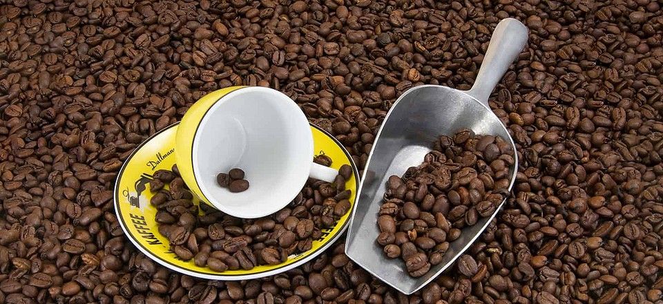 How Big Is a Coffee Scoop?