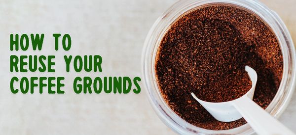 How to reuse your coffee grounds!