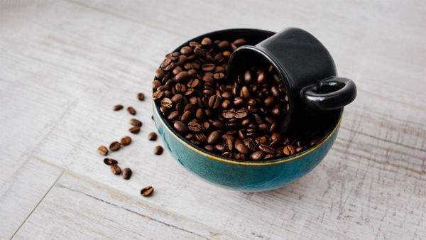 Can You Eat Coffee Beans?