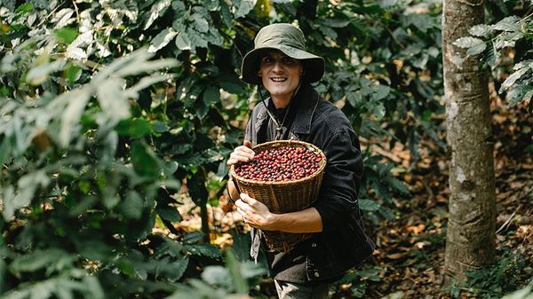 Where Do Coffee Beans Come From?